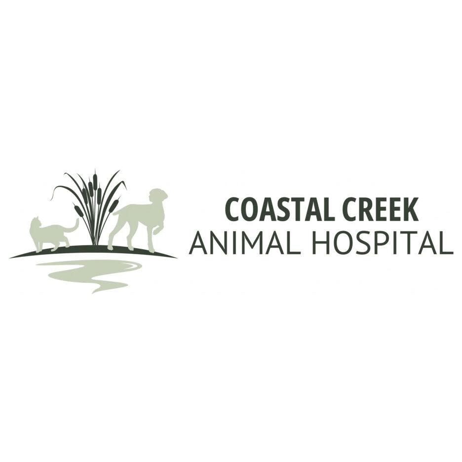 Veterinarian